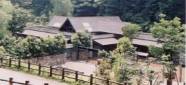 共同住宅